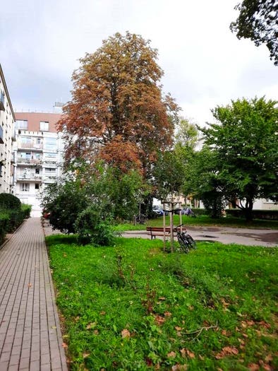 Mieszkanie 1-pokojowe na sprzedaż, Warszawa – Fryderyka Joliot-Curie